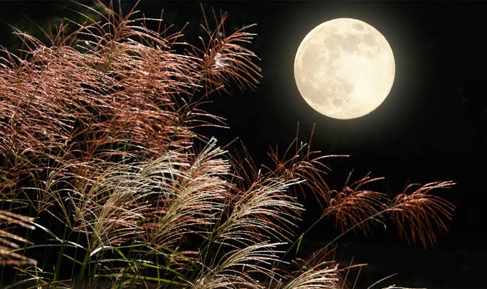 秋口におすすめムーンフェイズ🌖
